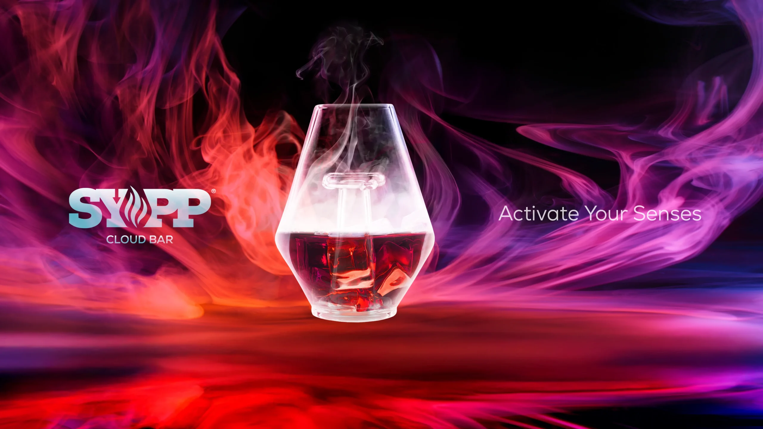 SYPP_Cover_01